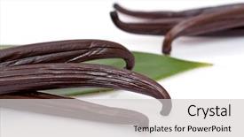  Presentation with vanilla - Slide set consisting of detail of fresh vanilla beans with leaf on white background background and a light gray colored foreground