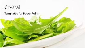  Presentation with cucumbers - Cool new theme with detail-of-garden-salad backdrop and a white colored foreground