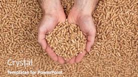  Presentation with biomass - Beautiful slides featuring biofuels - detail of hands showing wood backdrop and a coral colored foreground