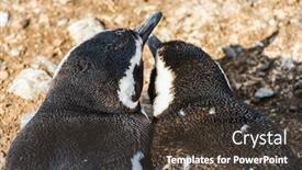  Presentation with chile - PPT theme with detail-of-mother background and a tawny brown colored foreground