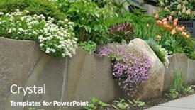  Presentation with tulips - Cool new PPT layouts with detail-of-natural-stone-wall backdrop and a gray colored foreground