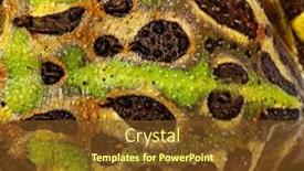  Presentation with frog - PPT theme featuring detail-of-the-cranwell-s background and a tawny brown colored foreground