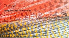  Presentation with female - Presentation theme enhanced with detail-of-the-wing background and a coral colored foreground