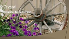  Presentation with purple flowers - Slide deck having detail-of-wagon-wheel background and a coral colored foreground