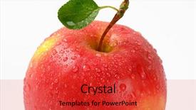  Presentation with lines red and white - Amazing PPT theme having detail of washed red apple on white background backdrop and a red colored foreground