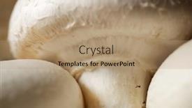  Presentation with mushrooms - Colorful presentation theme enhanced with detail-of-white-mushrooms-group backdrop and a coral colored foreground