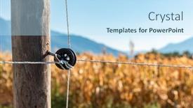  Presentation with wooden - PPT layouts consisting of detail-of-wooden-post background and a sky blue colored foreground