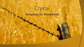  Presentation with weeds - PPT layouts with detail-of-worn-barb-wire background and a gold colored foreground
