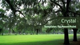  Presentation with savannah - Cool new slides with detail-shot-from-a-park backdrop and a tawny brown colored foreground