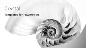  Presentation with shell - Audience pleasing presentation consisting of detailed-black-and-white-photo backdrop and a white colored foreground