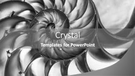  Presentation with shell - Amazing theme having detailed-contrasty-photo backdrop and a gray colored foreground