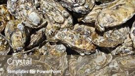  Presentation with oyster - Presentation design enhanced with detailed-oyster-background-closeup background and a coral colored foreground