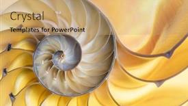  Presentation with shell - Cool new presentation theme with detailed-photo-of-a-halved backdrop and a coral colored foreground