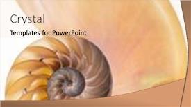  Presentation with shell - Cool new PPT theme with detailed-photo-of-a-halved backdrop and a lemonade colored foreground