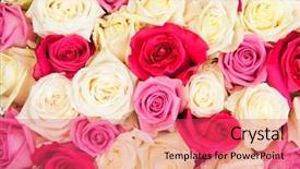 Presentation with wedding roses - Beautiful presentation design featuring detailed photo of a wedding backdrop and a red colored foreground