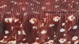  Presentation with red - Theme enhanced with details-macro-of-scales background and a tawny brown colored foreground