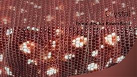  Presentation with red - PPT theme featuring details-macro-of-scales background and a tawny brown colored foreground