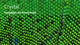  Presentation with timon and pumba - PPT theme consisting of details-macro-of-scales background and a forest green colored foreground