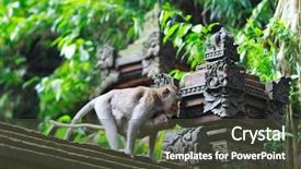  Presentation with indonesian forest - Amazing presentation theme having details of temple covered backdrop and a tawny brown colored foreground