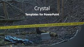  Presentation with crime scene investigation - Audience pleasing PPT theme consisting of detectives-are-collecting-evidence backdrop and a dark gray colored foreground