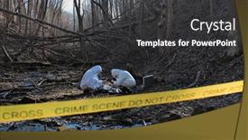  Presentation with forensic - Slides enhanced with detectives-are-collecting-evidence background and a dark gray colored foreground