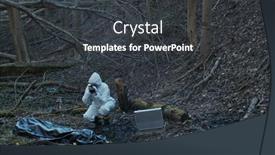  Presentation with crime scene investigation - Audience pleasing PPT theme consisting of detectives-are-collecting-evidence backdrop and a dark gray colored foreground