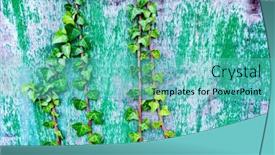  Presentation with climbing - Slide deck enhanced with deteriorated-wooden-wall-decorated background and a teal colored foreground