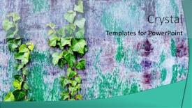 Presentation with climbing - Amazing PPT theme having deteriorated-wooden-wall-decorated backdrop and a light blue colored foreground
