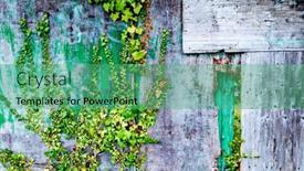  Presentation with climbing - PPT theme with deteriorated-wooden-wall-decorated background and a ocean colored foreground