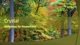  Presentation with detroit - PPT layouts consisting of detroit - early autumn trees in maybury background and a tawny brown colored foreground