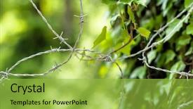  Presentation with nature - Slide deck featuring deturent - barbed wire and nature opposites background and a yellow colored foreground