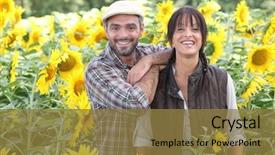  Presentation with farmers suicide - PPT theme enhanced with developing country - couple of farmers background and a tawny brown colored foreground