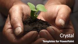  Presentation with sprout - Cool new theme with developing country - green sprout in senior man backdrop and a wine colored foreground