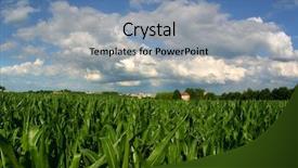  Presentation with farmland - Slide set with developing country - vanishing farmland farmhouse and cornfield background and a seafoam green colored foreground