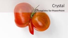 Presentation with tomato - Amazing PPT theme having deviant - aberrant tomato backdrop and a soft green colored foreground