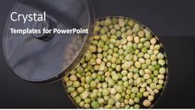  Presentation with seeds - Slide set consisting of device-for-germination-of-seeds background and a dark gray colored foreground