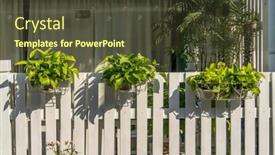  Presentation with devil - PPT theme consisting of devil-s-ivy-decorated background and a  colored foreground