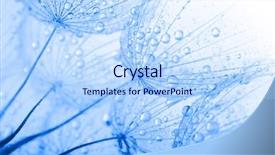  Presentation with abstract water drops - Cool new PPT theme with dew - abstract macro photo of dandelion backdrop and a light blue colored foreground