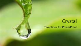  Presentation with dew drop - Cool new slide set with retirement senior plan coins investment backdrop and a soft green colored foreground.