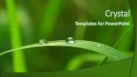  Presentation with dew drop - Slides having happy family of father mother son and daughter smiling looking out wall isolated on white background with copy place background and a white colored foreground