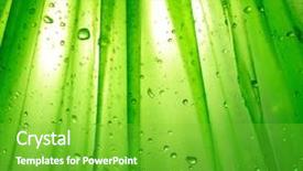  Presentation with dew drop - Amazing slide set having dew drops leaves nature - background with water drop backdrop and a seafoam green colored foreground