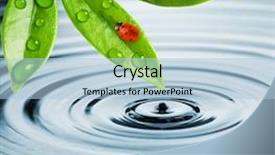  Presentation with water leaf - PPT theme enhanced with dew drops leaves nature - ladybug sitting on a green background and a light blue colored foreground