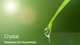  Presentation with dew drop - Colorful PPT layouts enhanced with dew drops leaves nature - rain drop on a leaf backdrop and a tawny brown colored foreground