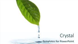  Presentation with water leaf - Presentation featuring dew drops leaves nature - water dripping of a leaf background and a sky blue colored foreground