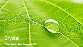  Presentation with water leaf - Slide deck featuring dew drops leaves nature - water drop on fresh green background and a shamrock green colored foreground