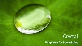  Presentation with lotus water - PPT theme with dew drops leaves nature - water drop on lotus leaf background and a tawny brown colored foreground