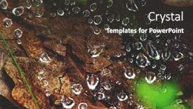  Presentation with forest morning - Presentation theme having dew-drops-on-a-spider background and a tawny brown colored foreground