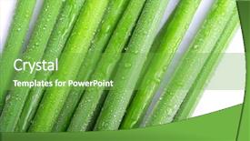  Presentation with dew - Colorful presentation theme enhanced with dew-drops-on-green-grass backdrop and a seafoam green colored foreground