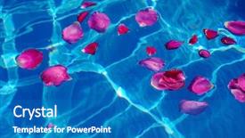  Presentation with blue rose - Slides enhanced with dew in blue water background and a teal colored foreground