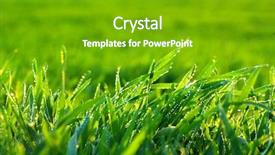  Presentation with sustainable green cities - Audience pleasing presentation design consisting of dew morning - background green lawn backdrop and a  colored foreground